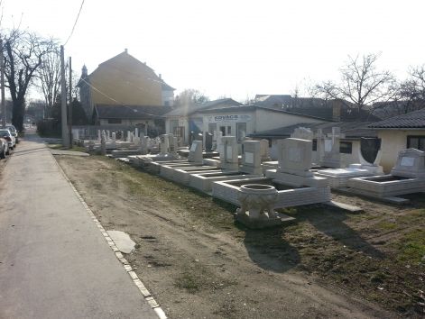 20130312_083747.jpg